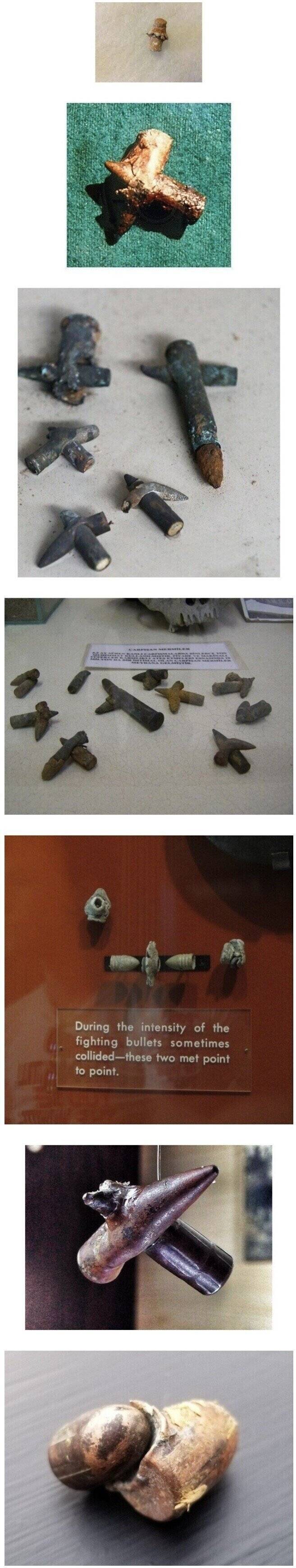 IMG_3969.jpeg 의외로 자주 발견된다는 1억분의 1의 확률