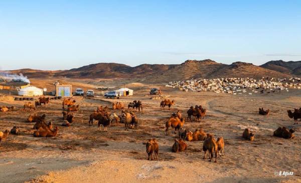 고비에 사는 유목민 집. 출처 A_ADIYA