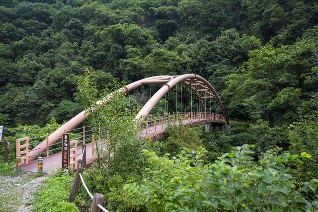 두촌면 천현리 용소계곡 입구 구름다리 전경.