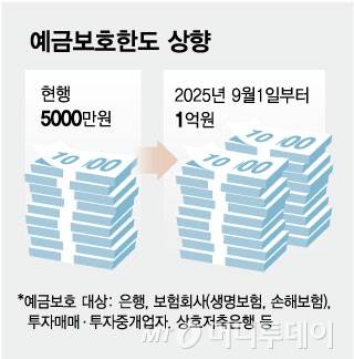 예금보호한도 상향/그래픽=김현정
