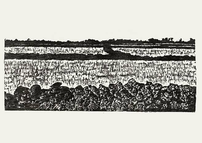 밭담 / 40*27㎝ / 목판화 / 2025 / ⓒ박들 제공
