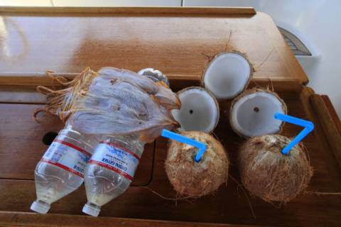 항해 중에는 잘 먹어야 한다는 생각으로 준비한다. 김영애 제공