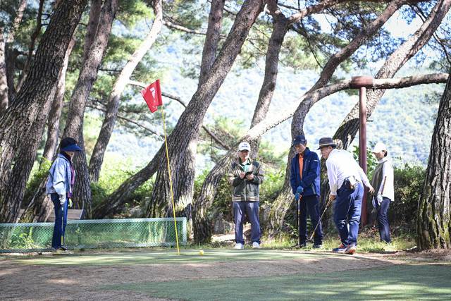 문경 농암 대정숲 파크골프장. 문경시 제공