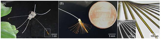 소금쟁이의 부채꼴 모양 다리를 모방한 라고봇./고제성 교수