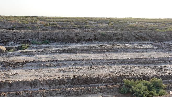 [서울=뉴시스]우즈베키스탄의 한때 세계 4번째로 큰 호수였던 아랄해 인근 소금 바람 피해 입은 경작지(출처 외교부 공동취재단) *재판매 및 DB 금지