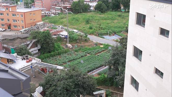 이병진 의원이 기숙사 신축 공사를 진행할 거라던 이 의원 소유의 땅. 약속과 달리 공사는 전혀 진행되지 않았다.