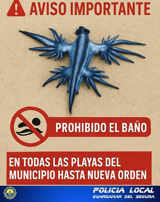 [Policía Local Guardamar 페이스북]