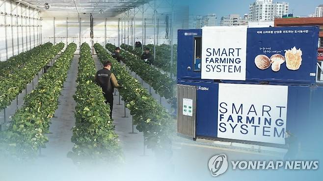스마트팜 (CG) [연합뉴스TV 제공]