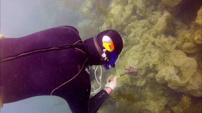 사진=게티이미지코리아.