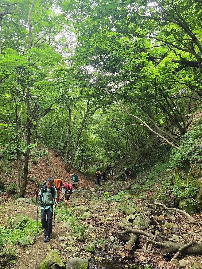 휴대전화 신호가 잡히지 않는 인제천리길을 오르는 산행팀. 박준형 제공