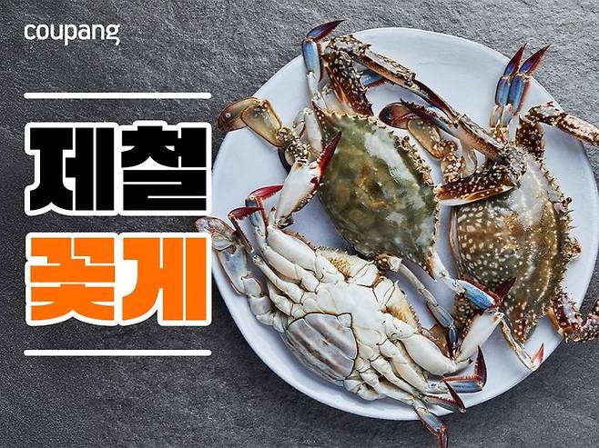 쿠팡이 22일부터 제철 꽃게 행사를 연다. 쿠팡 제공