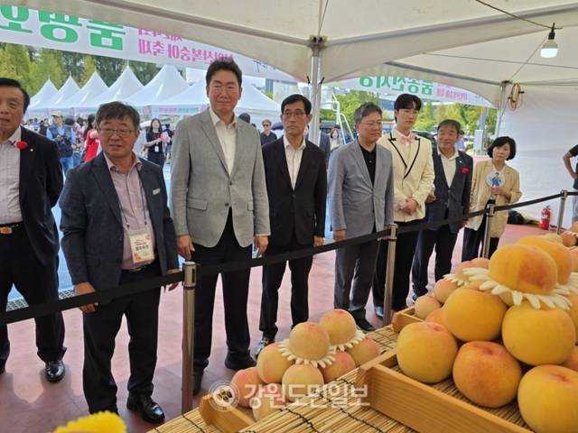 ▲ 원강수 시장, 박정하(원주갑) 국회의원, 조용기 시의장 등 내외빈이 치악산 복숭아 품평회 전시장을 찾아 올 수상작들을 살펴보고 있다.