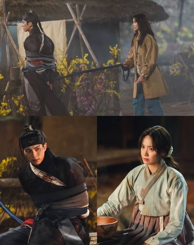 tvN 제공