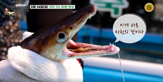 '백반기행' 사천, 귀여운 허세 폭발