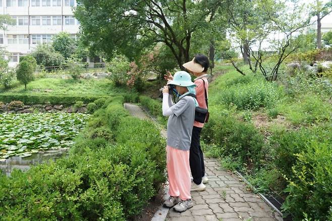 외래거북을 찾는 대원. 어린이과학동아 제공