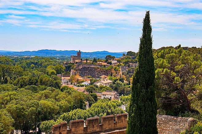 아비뇽 / 사진=flickr