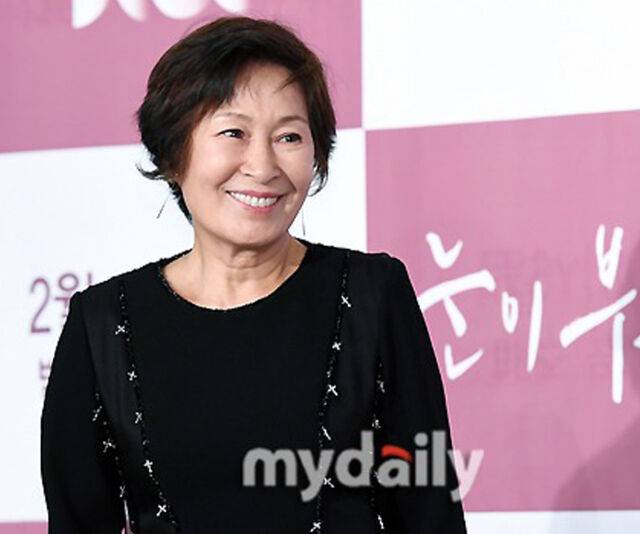 김혜자가 박보검과 아이유의 연기에 대해 입을 열었다. / 마이데일리 DB