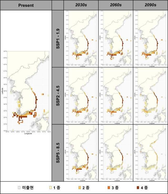 기후변화 시나리오에 따른 모자반 종 다양성 변화 예측 결과. 세로축 위에서부터 저탄소(SSP1-1.9), 중간(SSP2-4.5), 고탄소(SSP5-8.5). 고탄소 시나리오에서는 2090년 모자반 종이 대부분 감소해 색깔이 옅어졌다.