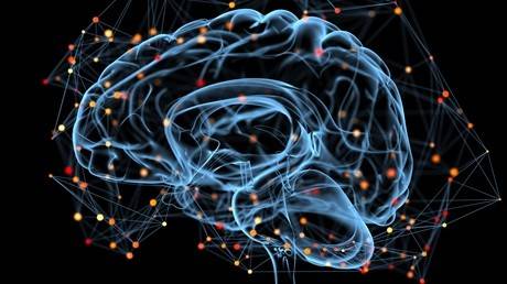 나이만이 기억력 저하의 원인은 아니다. 주의 분산, 스트레스, 생활 습관 등 다양한 요인이 뇌 건강에 영향을 미친다. | 출처:클립아트코리아