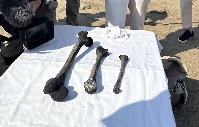 일제강점기 조선인 노동자 136명 등이 숨진 일본 조세이해저탄광 사고 현장에서 83년 만에 희생자 것으로 추정되는 일부 유골이 25일 발견됐다. 플로랑스 갈미쉬 제공