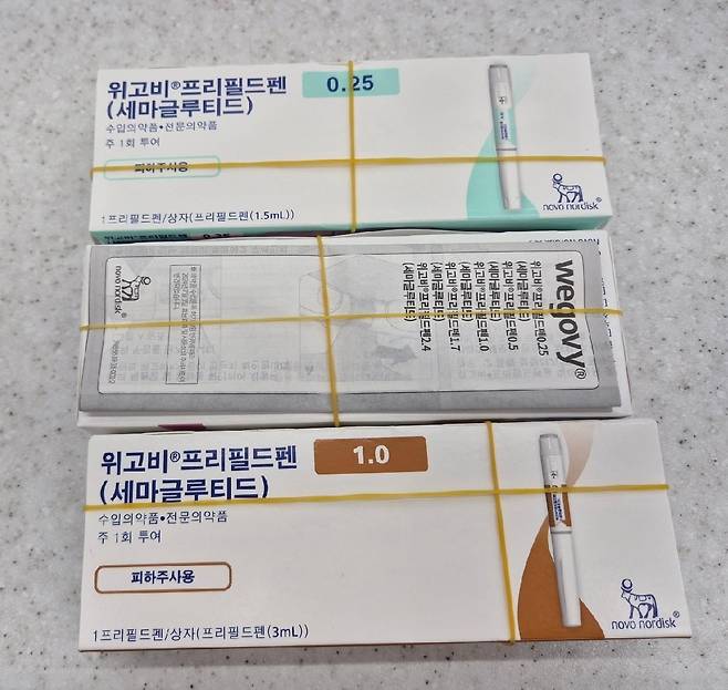 위고비/사진=한경DB