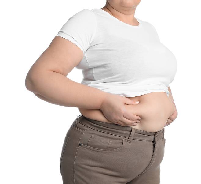 식품의약품안전처는 의료 전문가의 처방에 따라 주의해서 비만치료제 ‘위고비’를 사용해야 한다고 강조했다. 게티이미지뱅크
