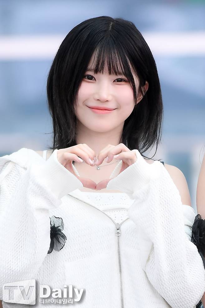 티브이데일리 포토