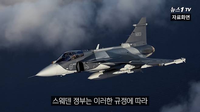 (뉴스1TV 갈무리)