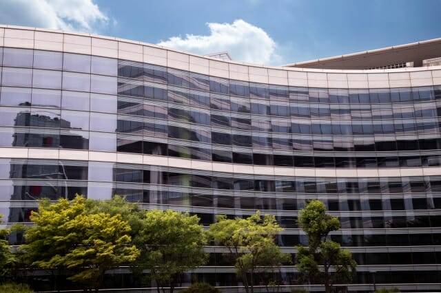 도심 속 가로수가 공원 나무보다 가뭄에 더 강하다는 연구 결과가 나왔다. (사진=클립아트코리아)