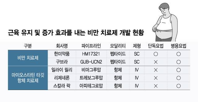 근육 유지 및 증가 효과를 내는 비만 치료제 개발 현황/디자인=윤선정