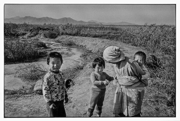 경상남도 김해군 사하 을숙도(부산시 사하구 하단동)