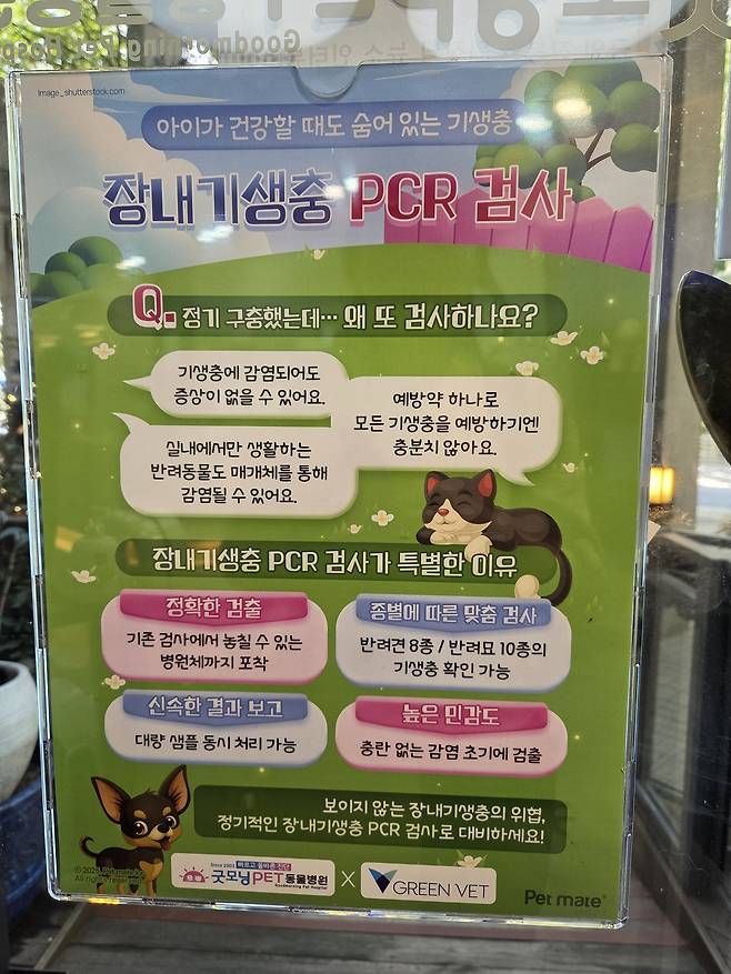 그린벳 장내기생충 PCR 검사 안내 포스터가 동물병원 내 부착돼 있다. ⓒ 뉴스1 한송아 기자