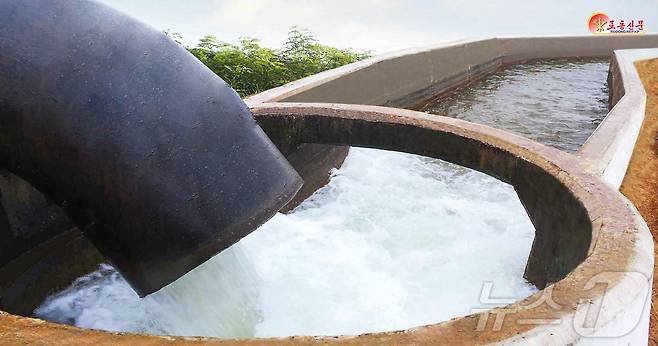 (평양 노동신문=뉴스1) = 북한 노동당 기관지 노동신문은 27일 "각지에서 농경지 침수 방지를 기본 고리로 틀어쥐고 긴급대책을 강구하고 있다"라고 보도했다. 사진은 사리원시관개관리소. [국내에서만 사용가능. 재배포 금지. DB 금지. For Use Only in the Republic of Korea. Redistribution Prohibited] rodongphoto@news1.kr