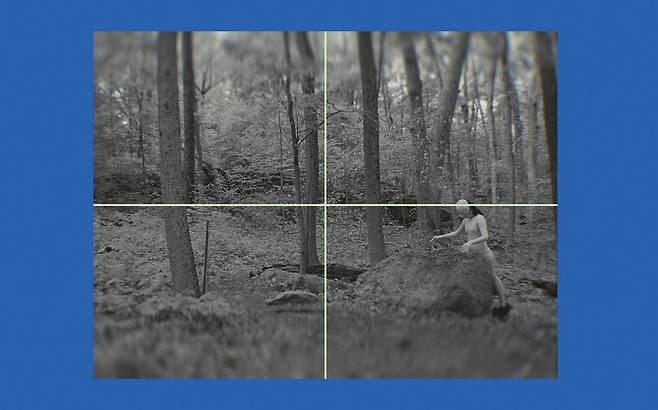 IM Youngzoo, Calming Signal, 2023/2025, Three-channel video installation. Concept image.