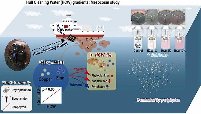 선체 수중청소로봇이 선박 표면을 청소하며 생기는 부산물이 해양생태계에 미치는 영향 요약도. 그래픽=한국해양과학기술원 제공