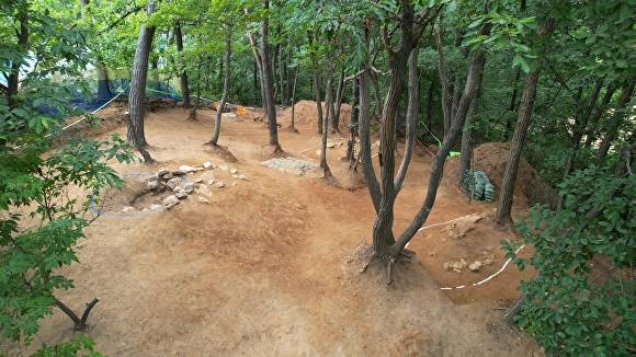 용인특례시 보라산 백제고분군 조사 대상지. [사진=용인특례시]