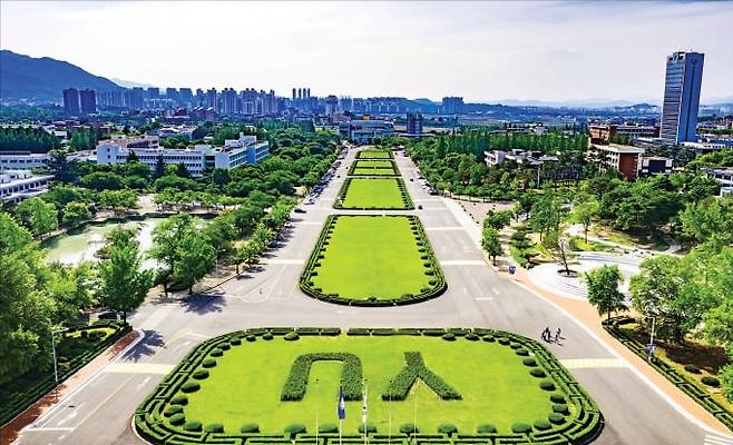 영남대 캠퍼스 전경. /영남대 제공