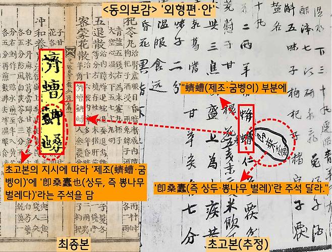 초고본(추정)에서 ‘외형편 안(眼·눈)’편에 ‘제조(굼벵이)’를 쓰면서 ‘즉상두(卽桑두·즉 뽕나무 벌레)’라는 주석을 달라는 표시를 해놨다. 그런데 최종본(1613년 발행)이 이를 그대로 반영했다. ‘제조’라고 써놓고 작은 글씨로 ‘즉상두(이것은 뽕나무 벌레다)’라는 주석을 달았다. |최영성 교수 논문을 토대로 정리