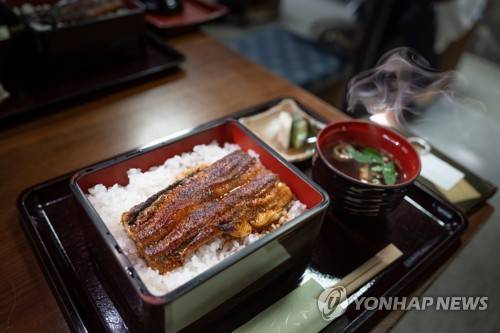 일본 나고야 장어덮밥. 기사 내용과 관련 없음 [연합뉴스 자료사진]
