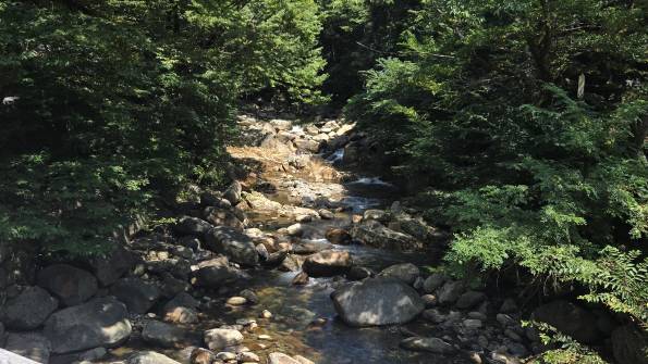 구례 지리산일대 계곡. /윤태민 기자 ytm@namdonews.com