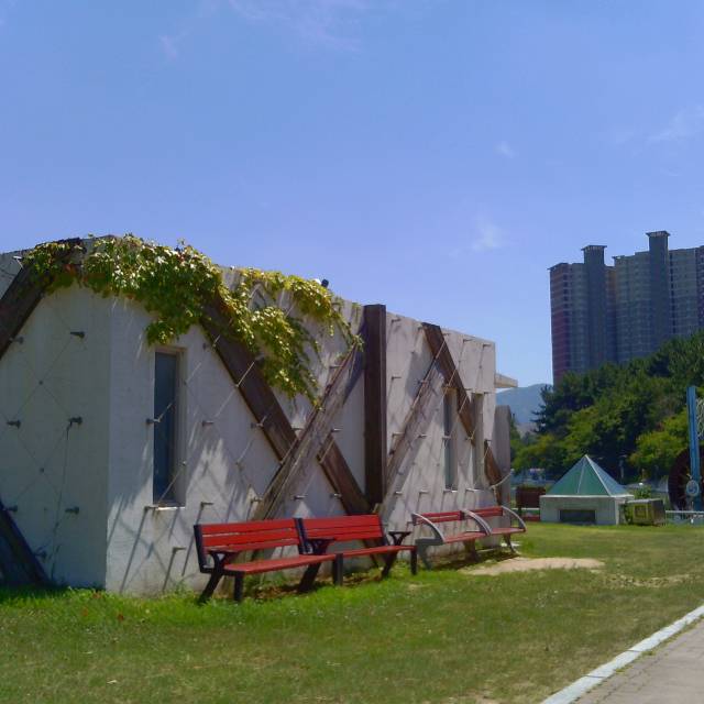 신수련씨가 빈티지 카메라를 이용해 촬영한 풍경./신수련씨 제공/