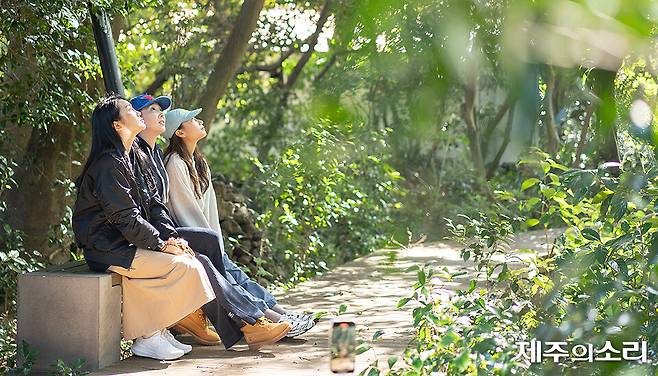 제주관광공사가 브랜드화 한 웰니스 관광.&nbsp;[사진제공-제주관광공사]&nbsp;