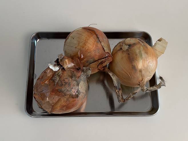 스테인레스 쟁반 위에 양파 3개가 껍질째 올려져있는 모습
