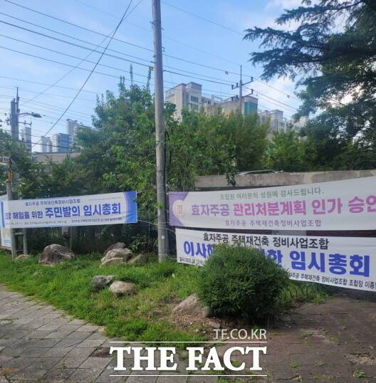 전주시 완산구 효자동1가 효자주공 주택재건축정비사업이 추진되고 있는 현장 내 조합과 관련된 현수막이 어지럽게 내걸려 있다. /전주=김종일 기자