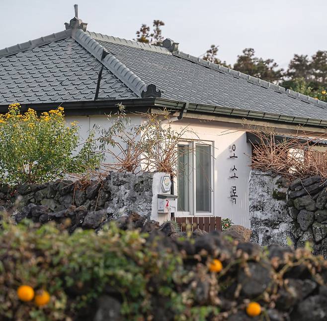 제주시 애월읍 하가리에 있는 독채 펜션 '오소록'. 사진은 기사 내용과 직접적인 관련 없음. /오소록 제공