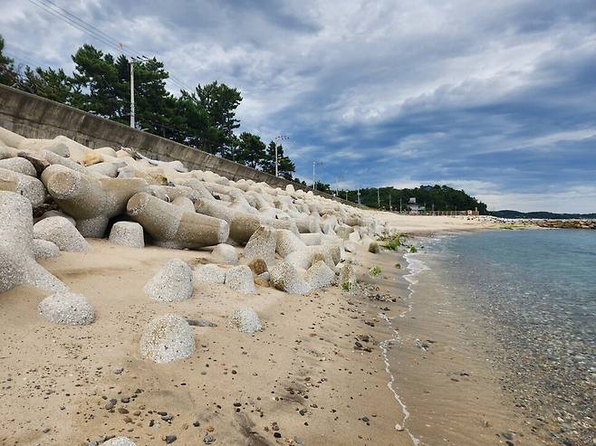 울진 산포리 해변 일대. 해안 침식으로 인해 높은 모래절벽이 생기자 추가 침식을 막기 위해 테트라포드(콘크리트 방파제)를 높게 쌓아 올렸다. 녹색연합 제공