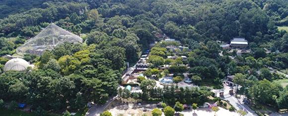 관람로 등 정비 공사를 마친 청주동물원이 9월 2일 재개장한다. 사진은 청주동물원 전경. [사진=청주시]