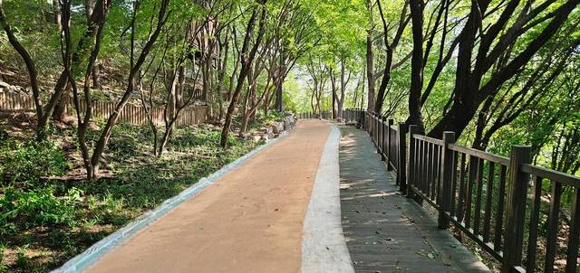 서울 종로구 숭인공원에 조성된 맨발산책로.  종로구청 제공
