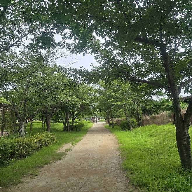 순천만 어싱길