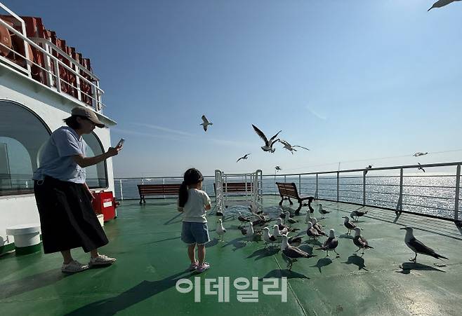 신시모도로 가는 배에서 갈매기에게 먹이를 주는 어린이